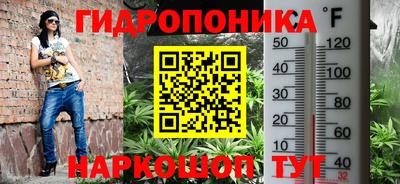 скорость Кингисепп