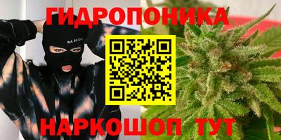 скорость Кингисепп
