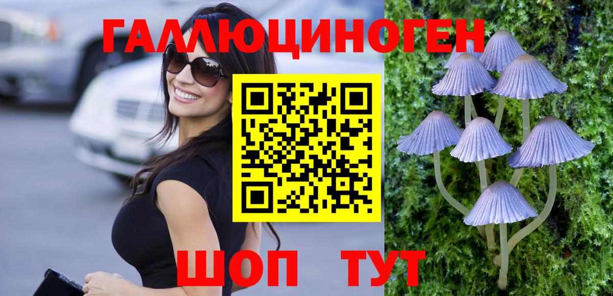 магазин    Галлюциногенные грибы Psilocybine cubensis  Вход с VPN  Псилоцибиновые грибы MAGIC MUSHROOMS  Кузнецк 