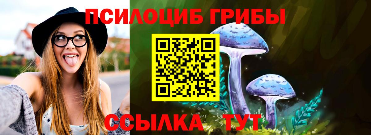 Галлюциногенные грибы Psilocybine cubensis Кузнецк